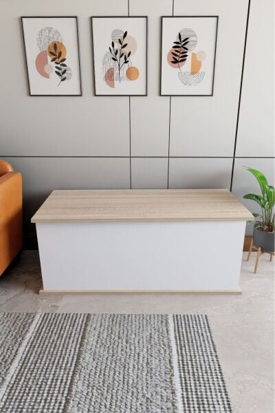 Çeyiz Sandığı Çok Amaçlı Saklama Kutusu Salon Antre Mobilyası Oyuncak Organizer Sandık 100x40 cm Beyaz Sonomo