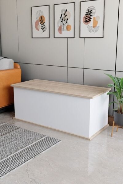 Çeyiz Sandığı Çok Amaçlı Saklama Kutusu Salon Antre Mobilyası Oyuncak Organizer Sandık 100x40 cm Beyaz Sonomo