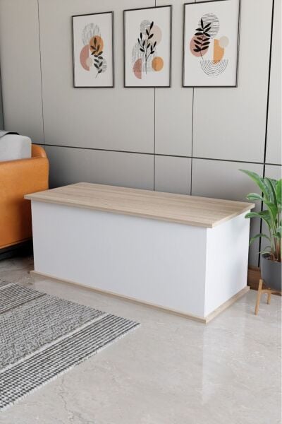 Çeyiz Sandığı Çok Amaçlı Saklama Kutusu Salon Antre Mobilyası Oyuncak Organizer Sandık 125x40 cm Beyaz Sonomo
