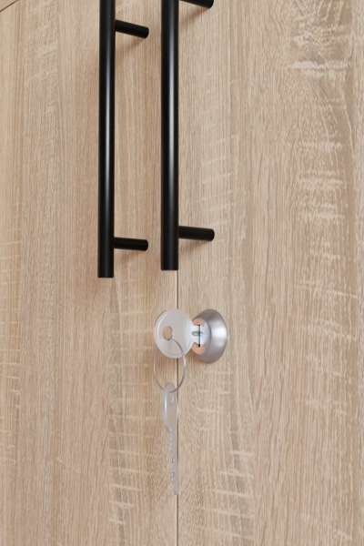 Çok Amaçlı Dolap Ofis Büro Mobilyası Evrak Dolabı Lüks Modern Kapaklı Raf Mobilya Sonoma Organizer